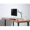 Equip 17 Zoll-32 Zoll Gelenk-Monitor-Tischhalterung
