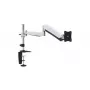 Equip 13–27 Zoll Gelenk-Monitor-Tischhalterung