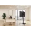 Equip Economy Multifunktions-TV-Wagen