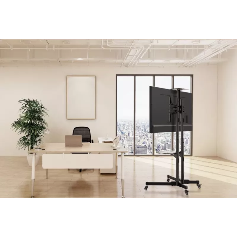Equip Economy Multifunktions-TV-Wagen