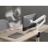 Equip 17 Zoll-35 Zoll Premium Monitor-Tischhalterung, Weiß