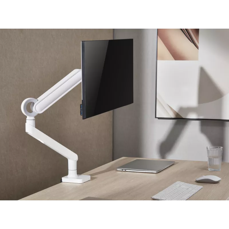 Equip 17 Zoll-35 Zoll Premium Monitor-Tischhalterung, Weiß