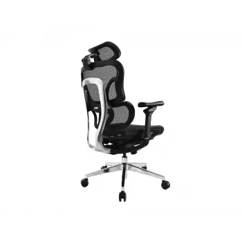 Equip Ergonomic Premium-Bürostuhl mit Kopfstütze und Armlehnen, Schwarz