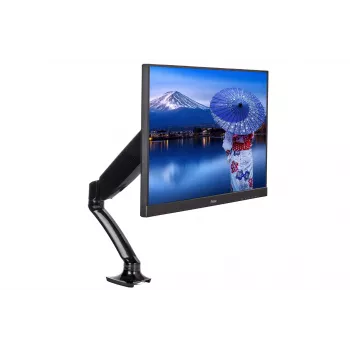 iiyama DS3001C-B1 Monitorhalterung / Ständer 68,6 cm (27 Zoll) Schreibtisch Schwarz