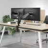 Manhattan Dual-Desk-Mount für TV & Monitore (Gasdruckfeder mit Vollbewegung), Für Bildschirme von 10 Zoll bis 27 Zoll, Klemm- oder Tüllenmontage, VESA-Kompatibilität: 75x75 und 100x100 mm - überprüfen Sie die Abmessungen der vier Befestigungslöcher auf der Rückseite des Bildschirms, um sicherzustellen, dass es passt, Max. 8 kg (jeweils)