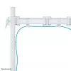 Neomounts NM-D135WHITE Monitorhalterung 10-30 Zoll, Klemme/Tischdurchführung, 8 kg, 25,4 cm (10 Zoll), 76,2 cm (30 Zoll), 100 x 100 mm, Weiß