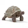 Figur, Schleich, WILD LIFE Riesenschildkröte