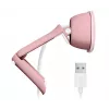 LOGITECH Brio 100 Full-HD-Webcam Rose