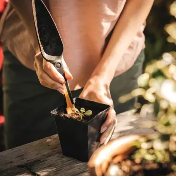 Gartenkelle Fiskars F1057641 — Handkelle, schwarz und braun