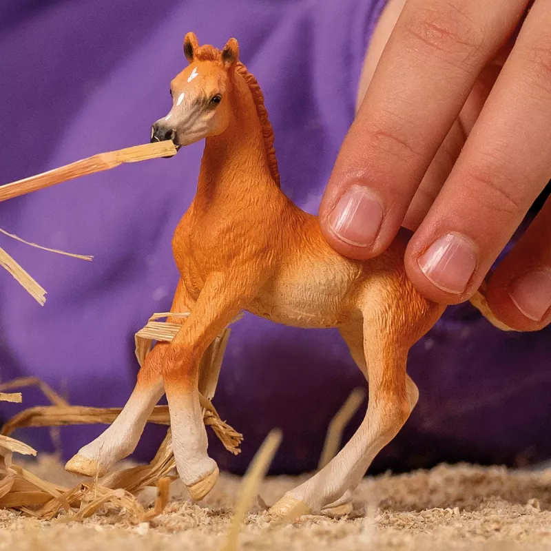 Schleich Pferdefigur Araber Fohlen Modell 13984, braun, empfohlenes Alter 5+