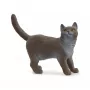 Figur Schleich Britisch Kurzhaar Katze Modell 13973, braun-grau, für Kinder ab 3 Jahren