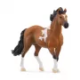 schleich HORSE CLUB Mangalarga Marchador Hengst, 5 Jahre, Pferde, Schwarz, Braun, Weiß, Kunststoff