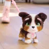 FurReal Walkalots Bernedoodle Puppy, Junge/Mädchen, 4 Jahre, mit Geräuschen