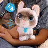 FurReal Wag-a-lots Kitty, Junge/Mädchen, 4 Jahr(e), mit Ton FurReal Wag-a-lots Kitty. Produktfarbe: Mehrfarbig