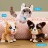 FurReal Wag-a-lots Kitty, Junge/Mädchen, 4 Jahr(e), mit Ton FurReal Wag-a-lots Kitty. Produktfarbe: Mehrfarbig