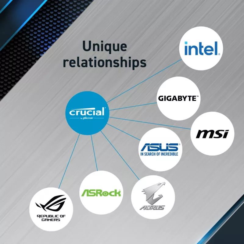 MICRON / CRUCIAL Speicher - Crucial Pro - DDR5-5600 UDIM - 48GB Kit (24GBx2)
