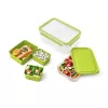 EMSA CLIP & GO XL Lunchbox 2.3 L Grün, Transparent 1 Stück