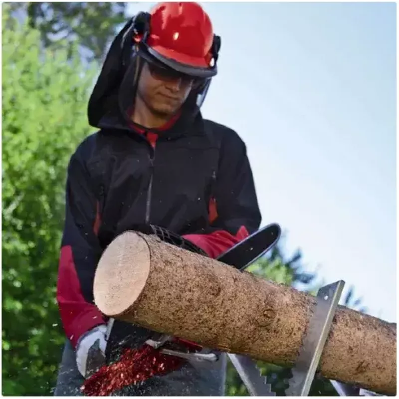 Kettensäge Einhell GE-EC 2240 2200 W Schwarz Rot