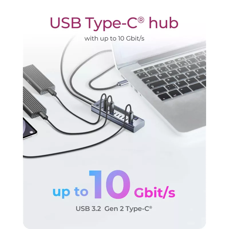 USB Hub icybox IB-HUB1450-C31 — 10 Ports, USB 3.2