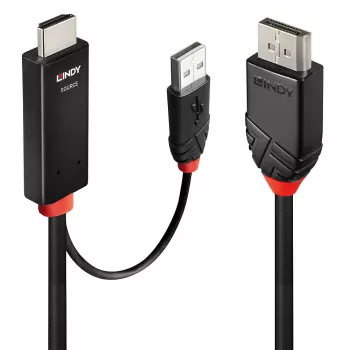 Lindy 1m HDMI auf DisplayPort Kabel HDMI USB Typ-A DisplayPort
