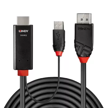 Lindy 1m HDMI auf DisplayPort Kabel HDMI USB Typ-A DisplayPort