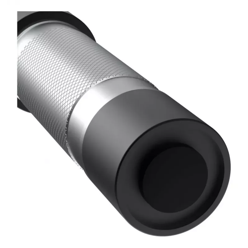 Universaltaschenlampe Ansmann Daily Use 300B Schwarz Silber LED 5W IPX4