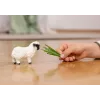 schleich Walliser Schwarznasenschaf, 3 Jahr(e), Bauernhof, Bauernhoftiere / Bauernhofspielzeug, Schwarz, Weiß, Kunststoff