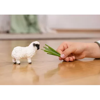 schleich Walliser Schwarznasenschaf, 3 Jahr(e), Bauernhof, Bauernhoftiere / Bauernhofspielzeug, Schwarz, Weiß, Kunststoff