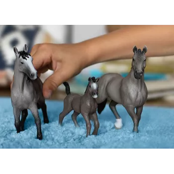 schleich HORSE CLUB Selle Français Hengst, 5 Jahr(e), Pferde, Grau, Kunststoff