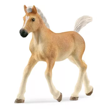 schleich HORSE CLUB Haflinger Fohlen, 5 Jahr(e), Pferde, Beige, Braun, Kunststoff