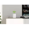Devolo WiFi 6 Repeater 5400 Netzwerk-Repeater 5400 Mbit/s Dualband