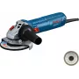 Bosch GWS 12-125 Professional Winkelschleifer 12,5 cm 11000 U/min 1200 W 2,2 kg