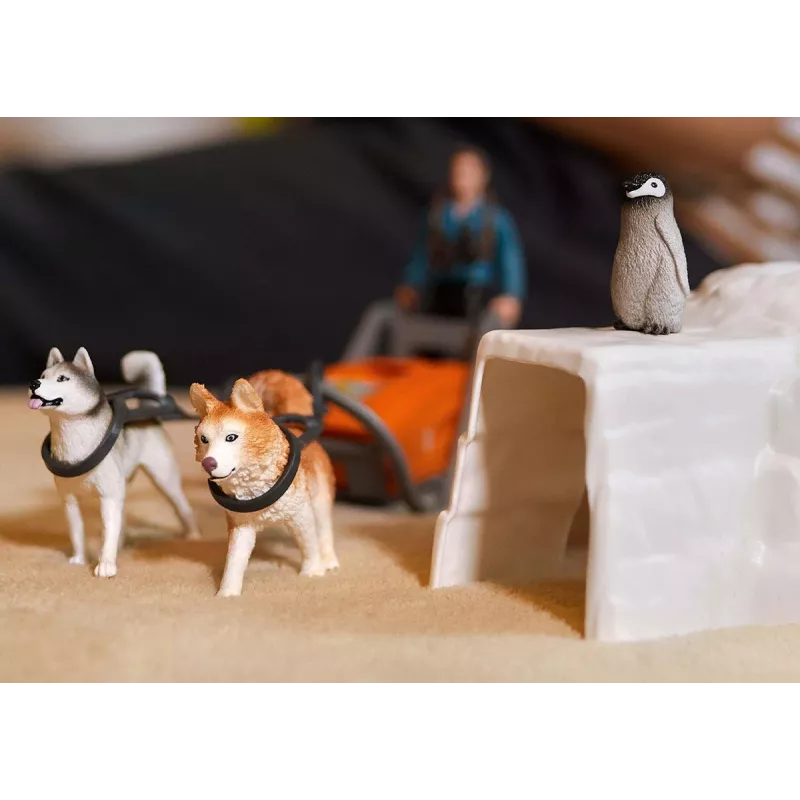 Zoo Schleich WILD LIFE Antarktis-Expedition Mehrfarbig 42558