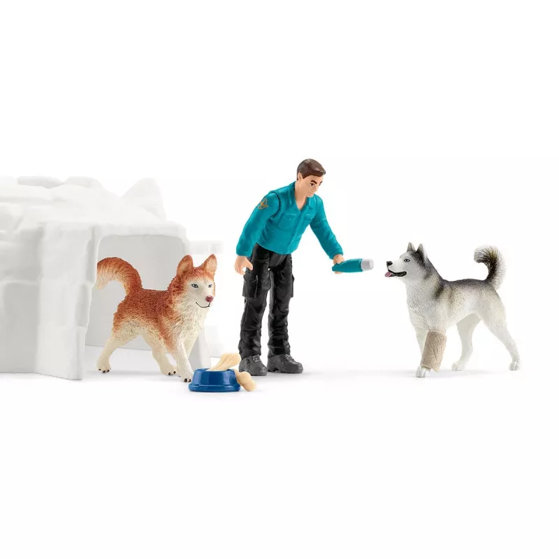 Zoo Schleich WILD LIFE Antarktis-Expedition Mehrfarbig 42558