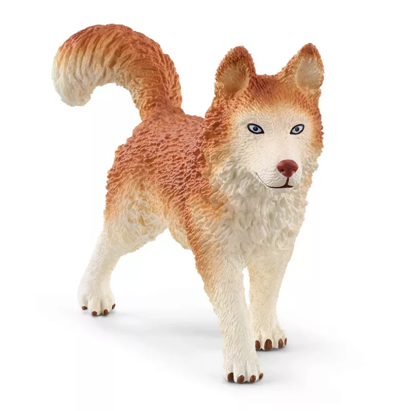 Zoo Schleich WILD LIFE Antarktis-Expedition Mehrfarbig 42558
