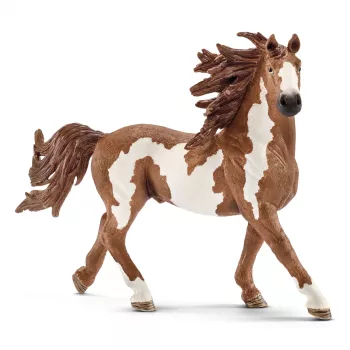 schleich FARM WORLD Pinto-Hengst, 3 Jahre, Bauernhoftiere / Bauernhofspielzeug, Pferde, Mehrfarbig, Kunststoff, 1 Stück