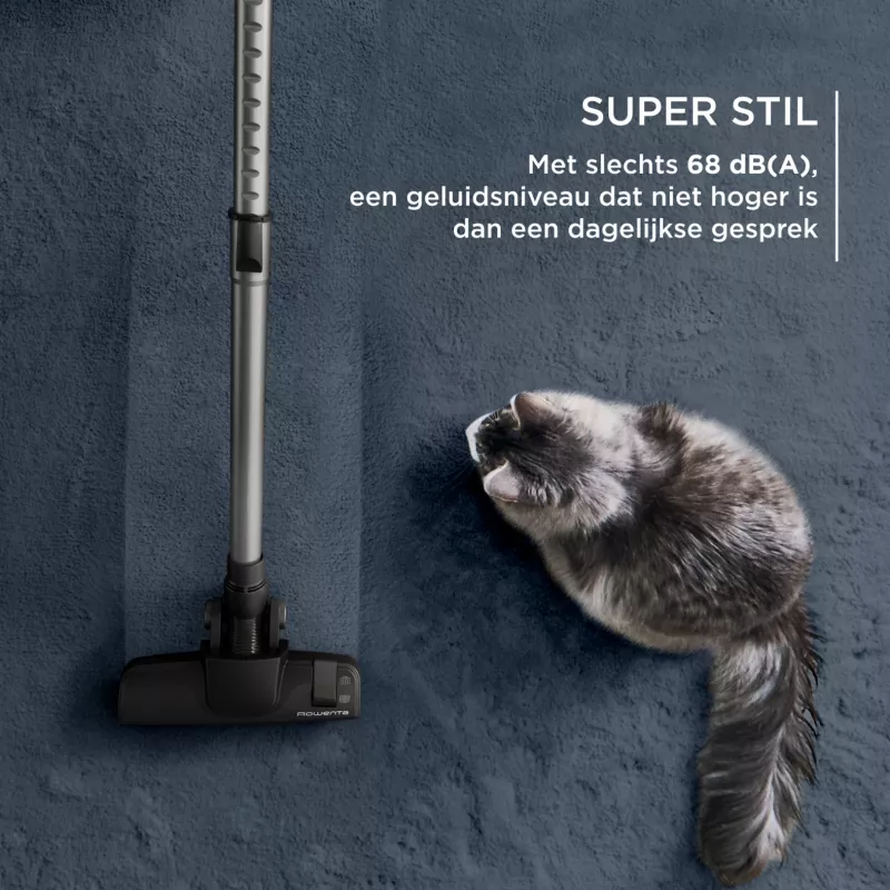 Rowenta Grün Force RO7C36 2,5 L Bodenstaubsauger Trocken 500 W Beutellos