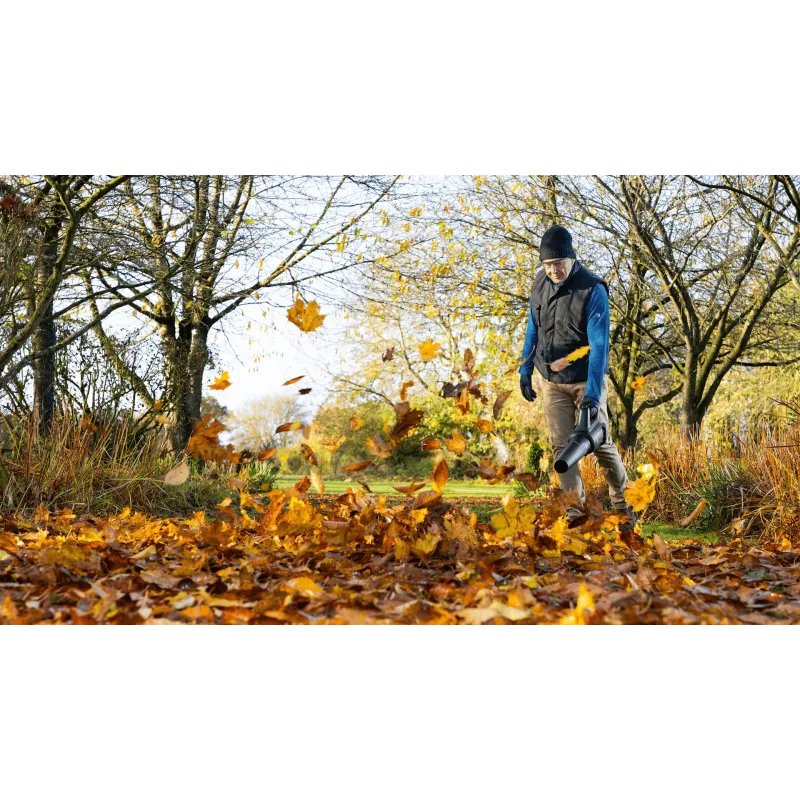 Bosch AdvancedLeafBlower 36V-750 (1x2.0Ah), Handgebläse, 100 km/h, 200 km/h, Akku, 1,5 m/s², 254 mm