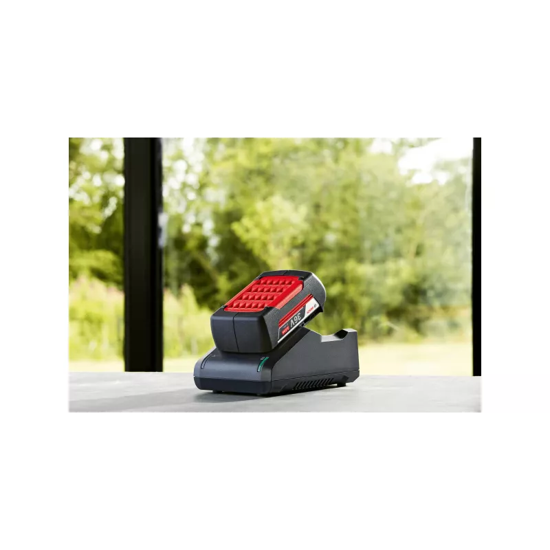 Bosch F016800609 Akku- und Ladegerät-Set für kabellose Werkzeuge Akku & Ladegerät-Set