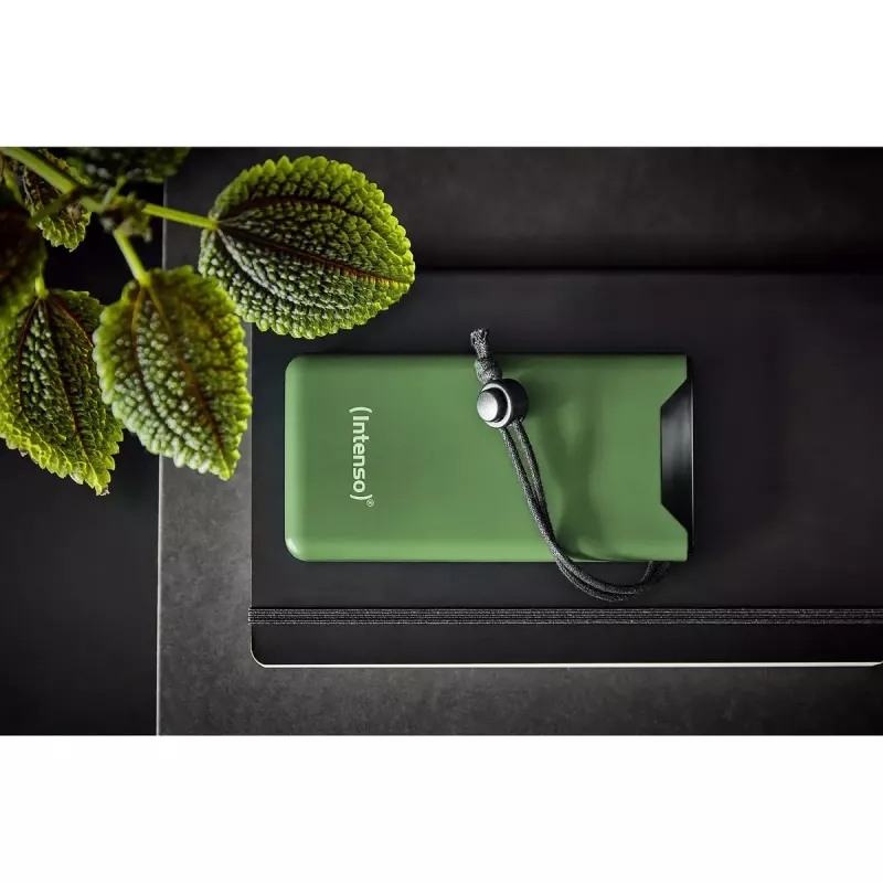Tragbare Powerbank Intenso 7332037 10000 mAh
