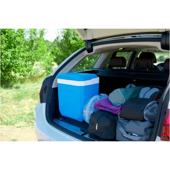 Kühlbox Campingaz Icetime Plus 26L Blau