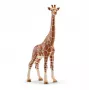 Figur, Schleich, WILD LIFE Giraffe, weiblich