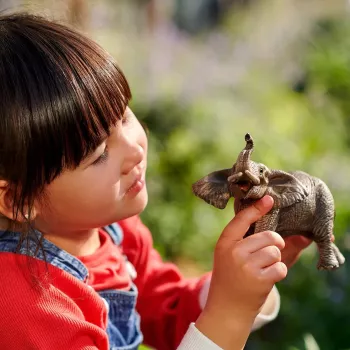 schleich WILD LIFE Afrikanischer Elefant, männlich, 3 Jahr(e), Safari, Wildtiere / Abenteuerspielzeug, Mehrfarbig, Kunststoff, 1 Stück
