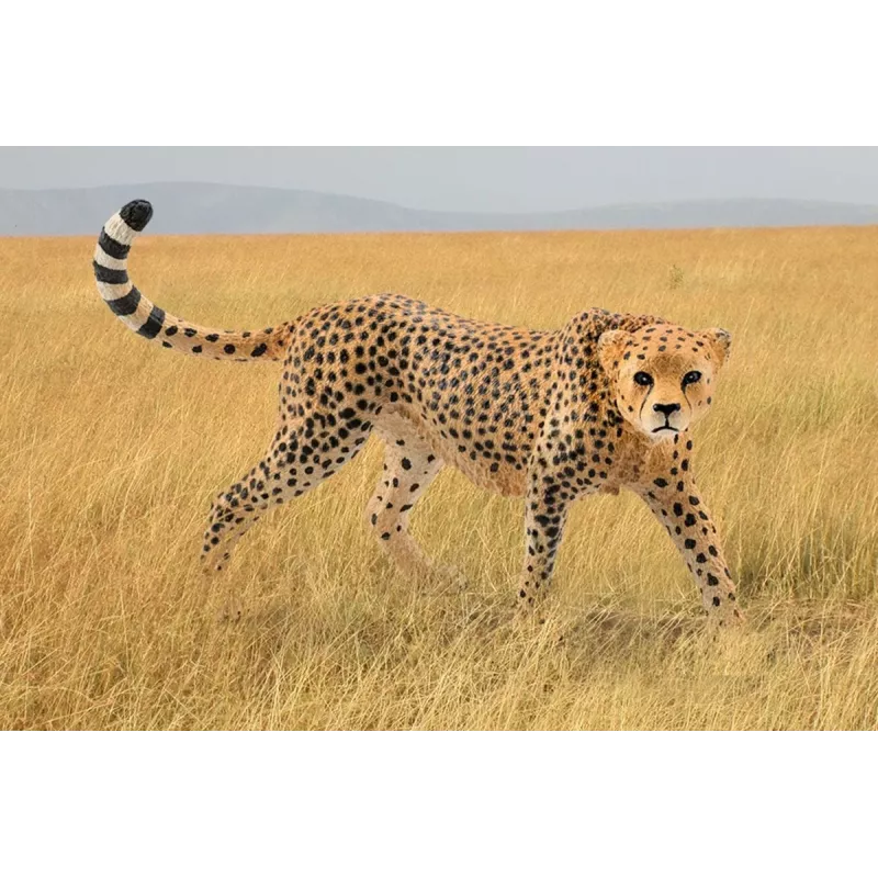 Figur Schleich WILD LIFE Gepard Weibchen 14746