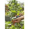 Gardena VeggieCut Astschere Schwarz Grün Edelstahlklingen