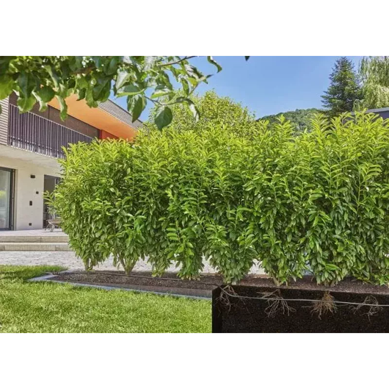 Tropfbewässerungssystem Gardena 13500-20