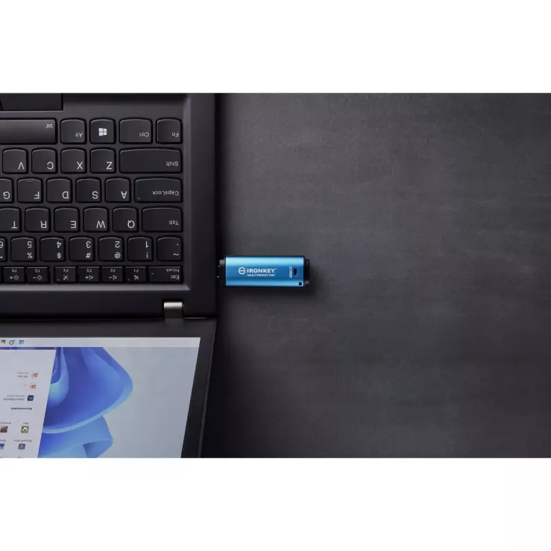 Kingston Technology IronKey 256 GB USB-C Vault Privacy 50C AES-256-verschlüsselt, FIPS 197