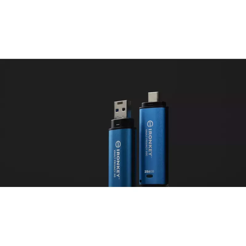 Kingston Technology IronKey 256 GB USB-C Vault Privacy 50C AES-256-verschlüsselt, FIPS 197