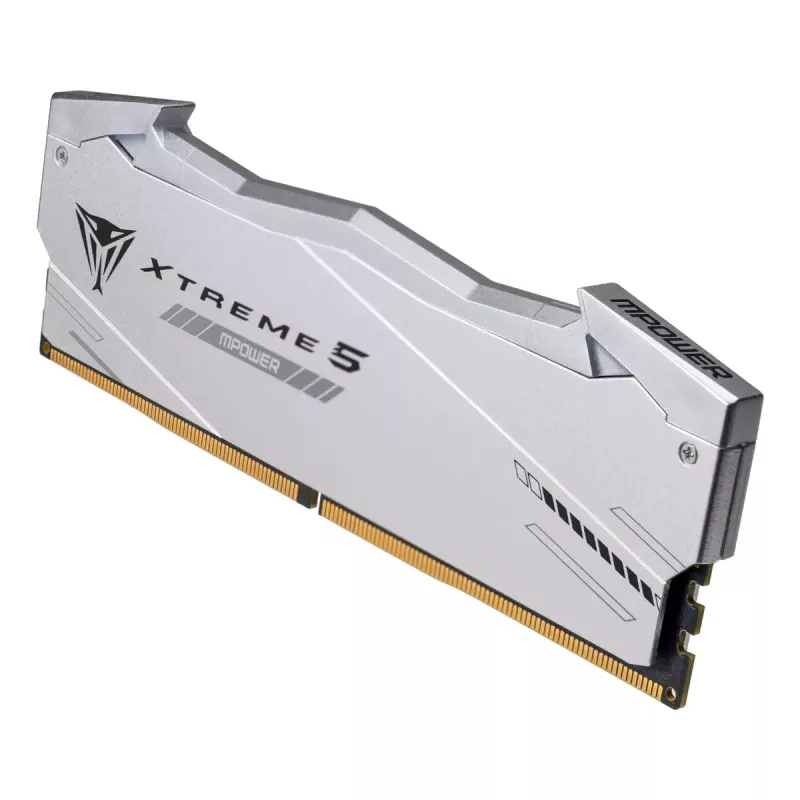 Patriot Viper Gaming RGB XTREME 5 DDR5-8000 RAM, CL 38, Intel XMP 3.0 - 32GB Dual-Kit, silber