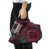 Bodenstaubsauger ROWENTA Swift Power RO2933 — 750 W, beutellos, burgunderrot/schwarz, 4,87 kg